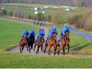 11. Horse Racing & the Cheltenham Gold Cup